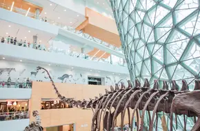 Shanghai Natural History Museum