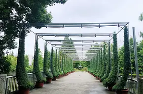 Shanghai Botanical Garden