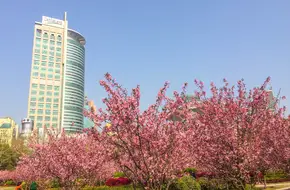 Shanghai People'S Park