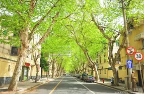 Yuyuan Road