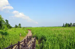 Xisha Wetland Park