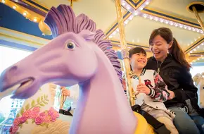 Fantasia Carousel