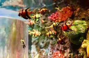 Changfeng Ocean World