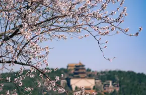The West Causeway Of The Summer Palace
