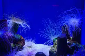 Shanghai Ocean Aquarium