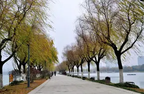 The West Causeway Of The Summer Palace