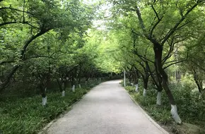 Century Park, Shanghai