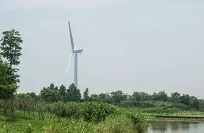 Dongtan Wetland Park