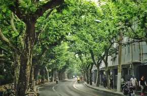 Sinan Road