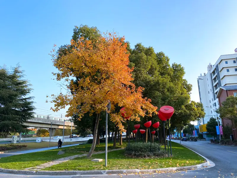 Wisdom Bay Cultural Square