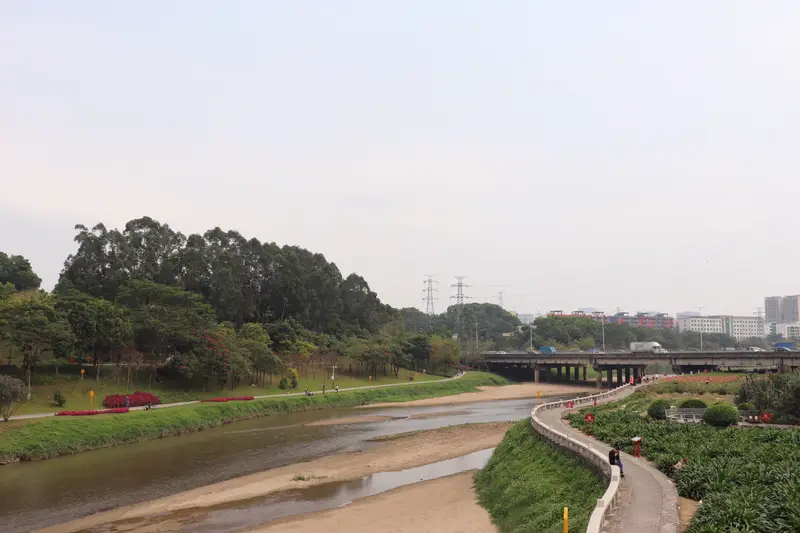Qinghu Wetland Park