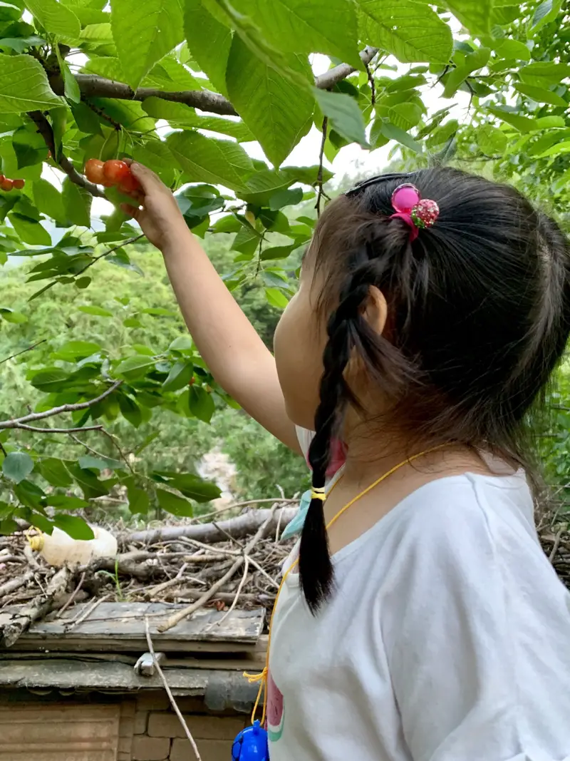 Huangtai Cherry Valley