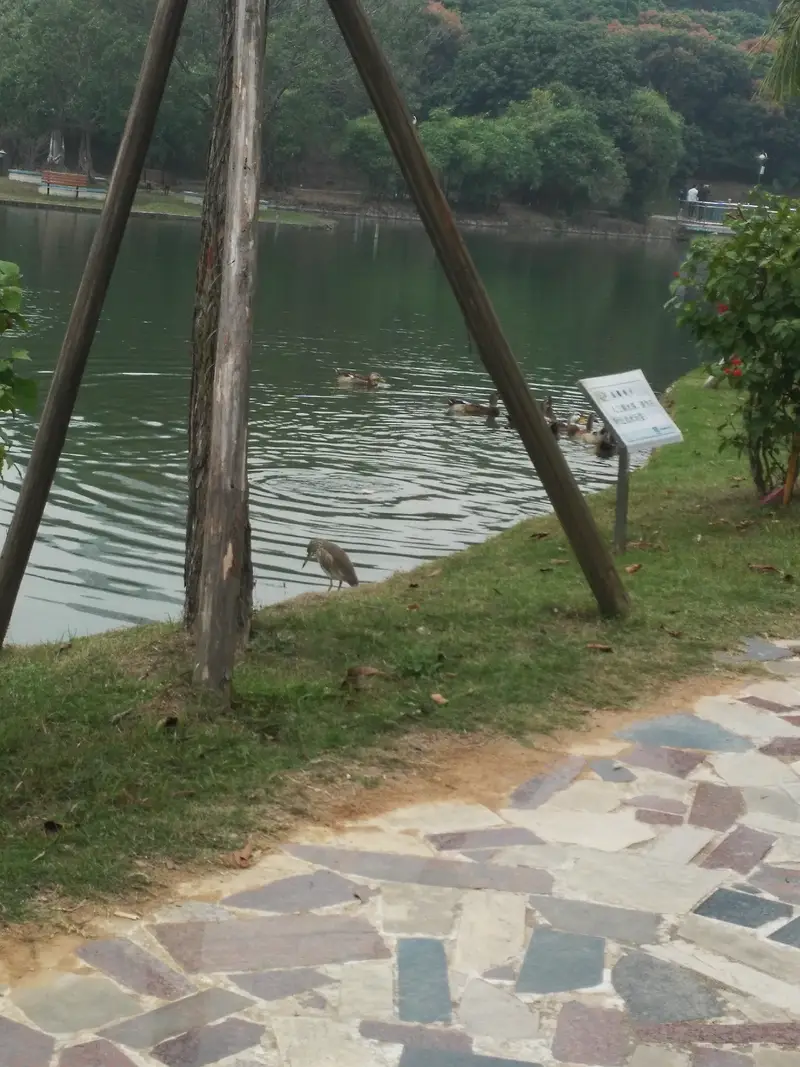 Shenzhen Polytechnic