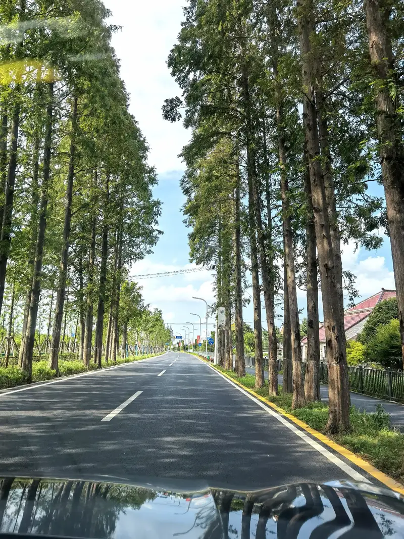 Chongming Story Homestay Hotel