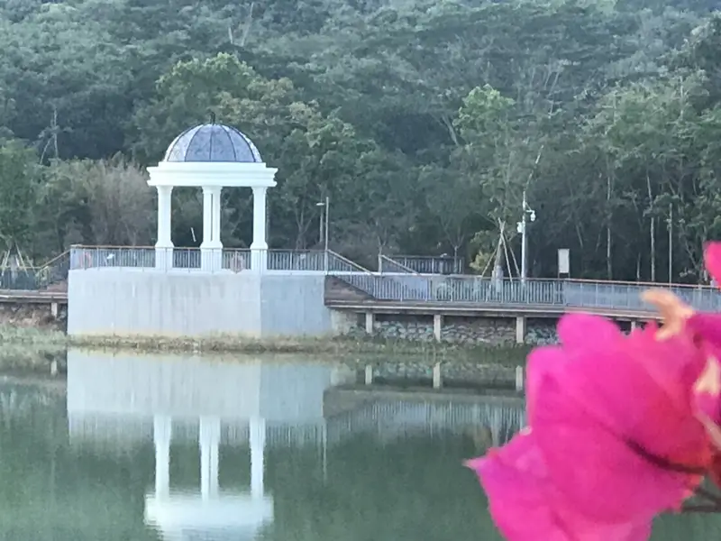 Immortal Lake