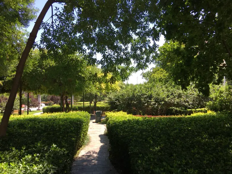 Central Park