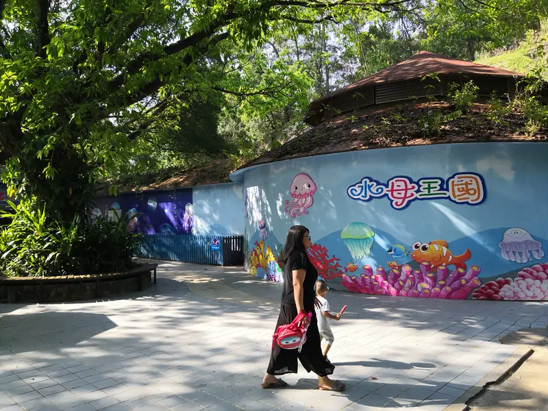 Shenzhen Wildlife Zoo Aquarium