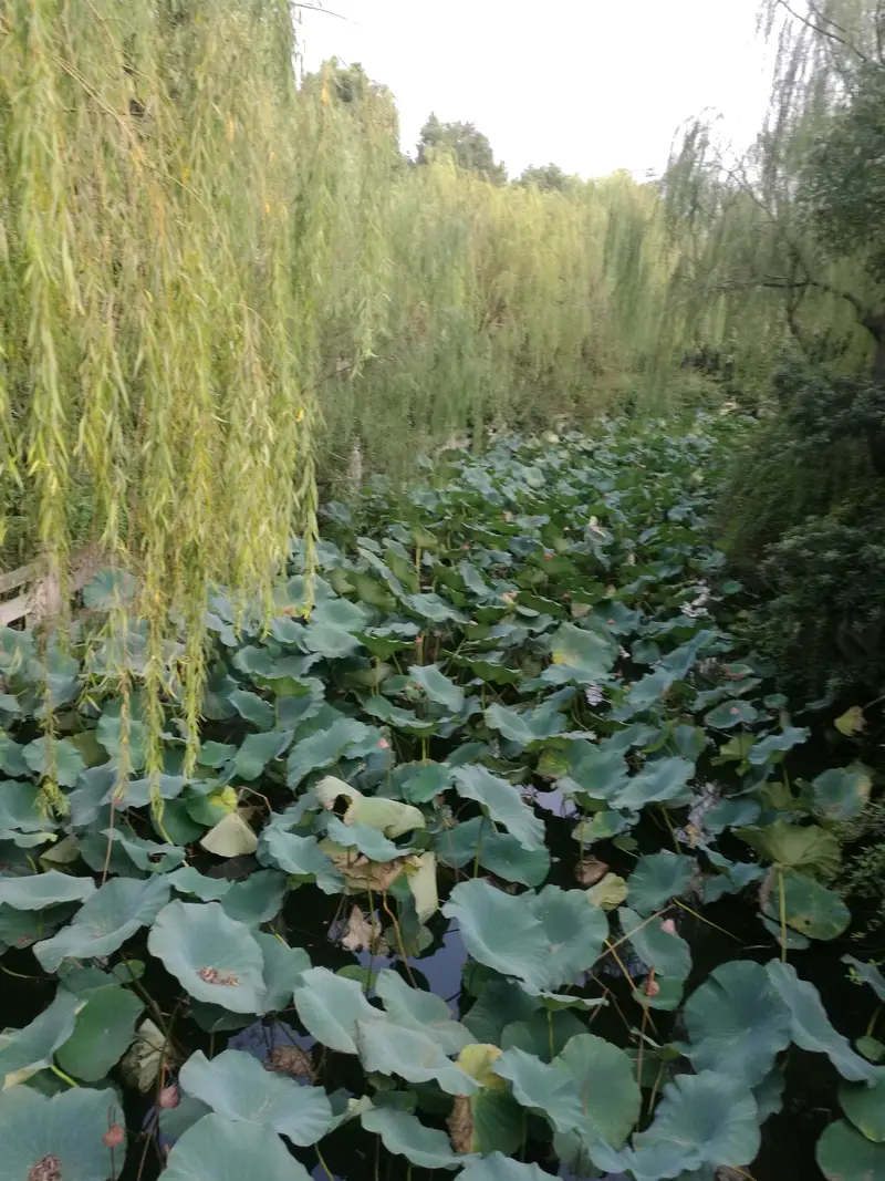 BaoShan International Folk Art Museum