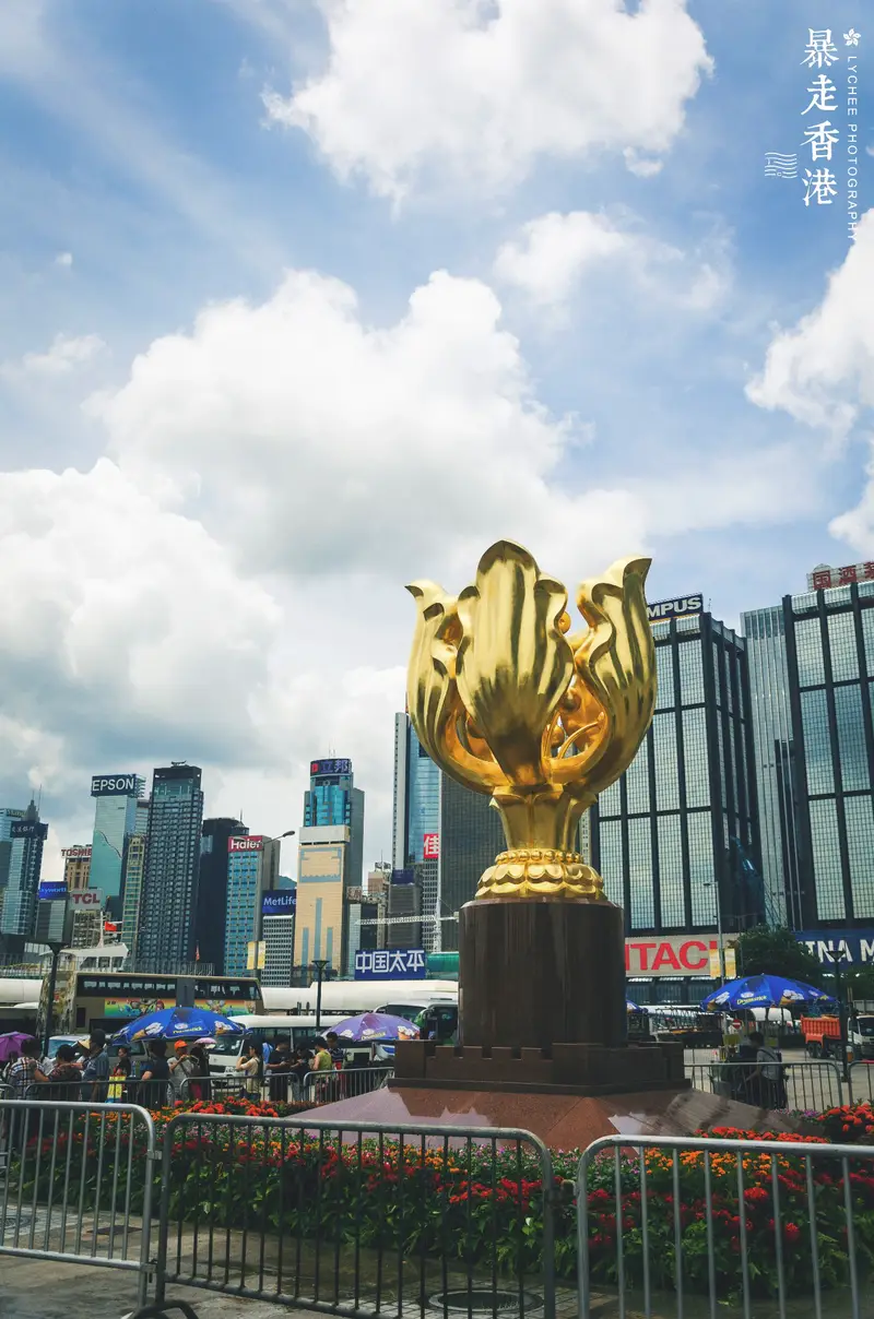 Golden Bauhinia Square