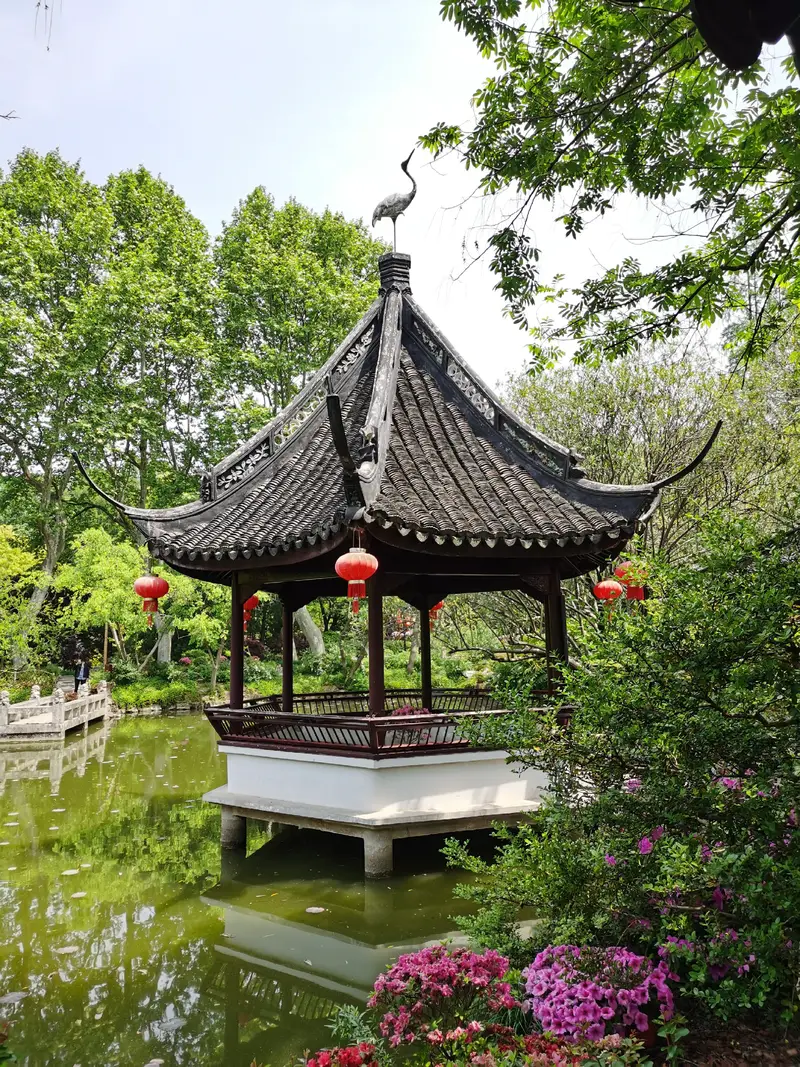 Zuibai Pool Park-Lotus Pond