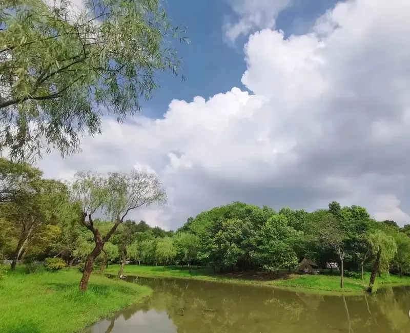 Pujiang Forest Park