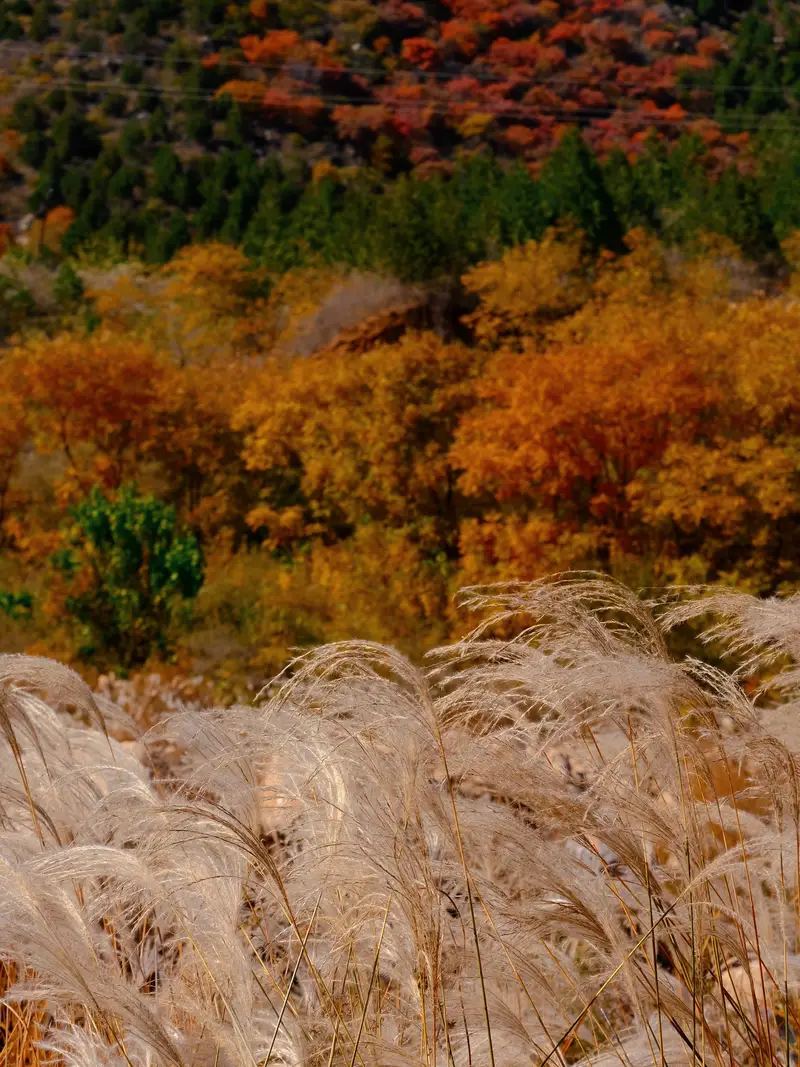 Yunlongjian Scenic Area