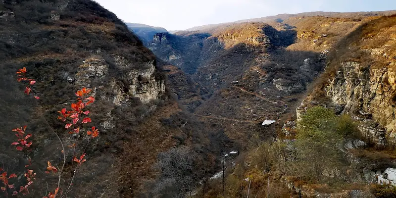 Coffin Mountain
