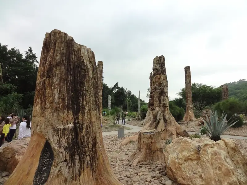 Petrified Forest