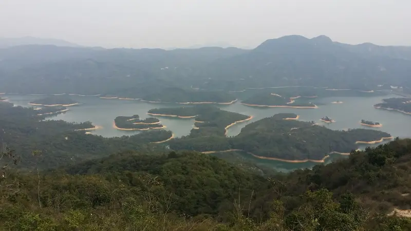 Tai Lam Chung