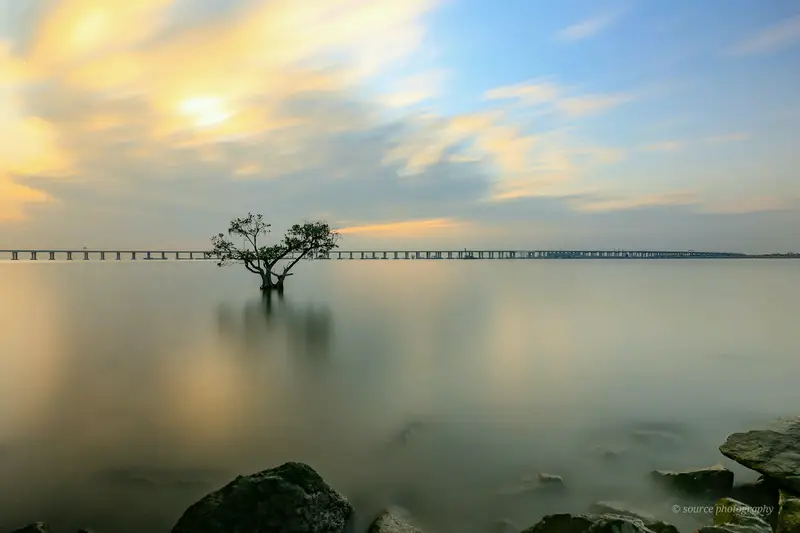 Xiwan Mangrove Park Phase II Square