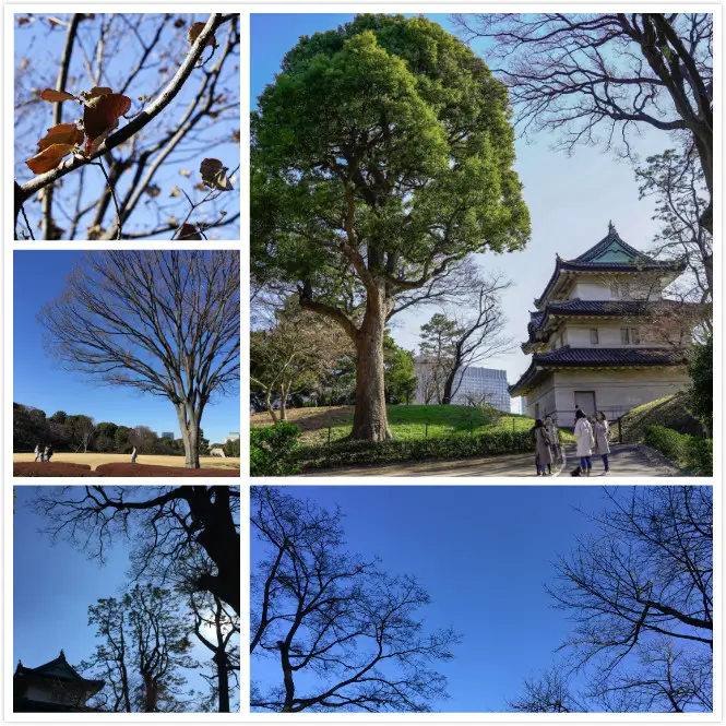 Japanese Imperial Palace