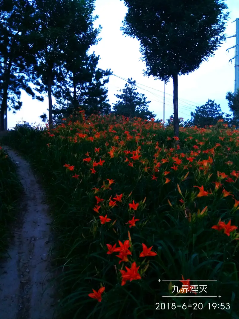 Mencheng Lake Park