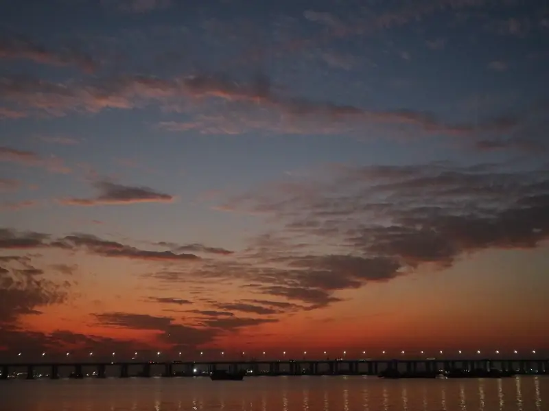 Xiwan Mangrove Park - Sea-View Platform