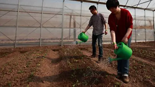 Shanghai Taisheng Farm