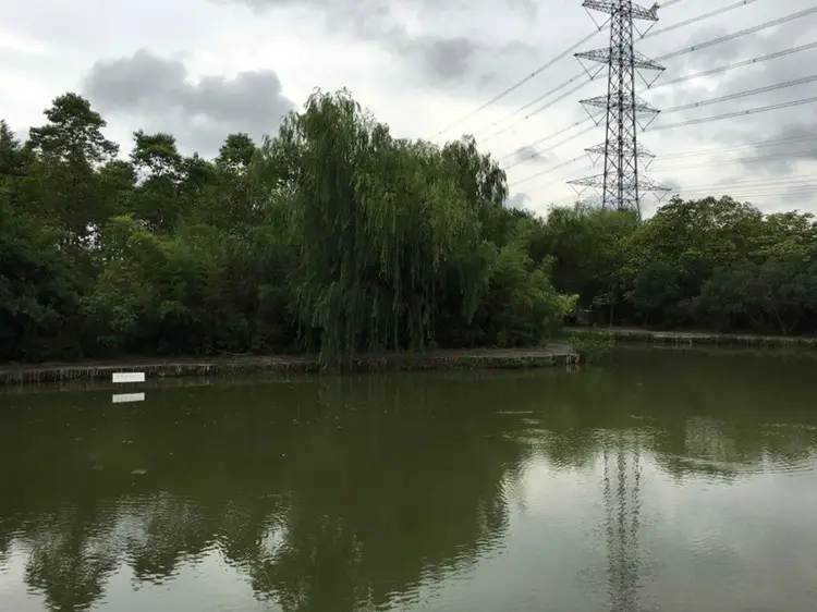 Zhoupu Park