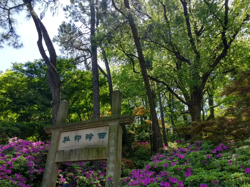 Canyon Kannon