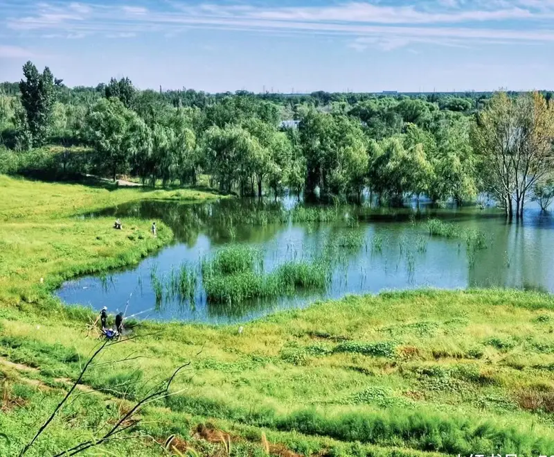 Century Forest Park