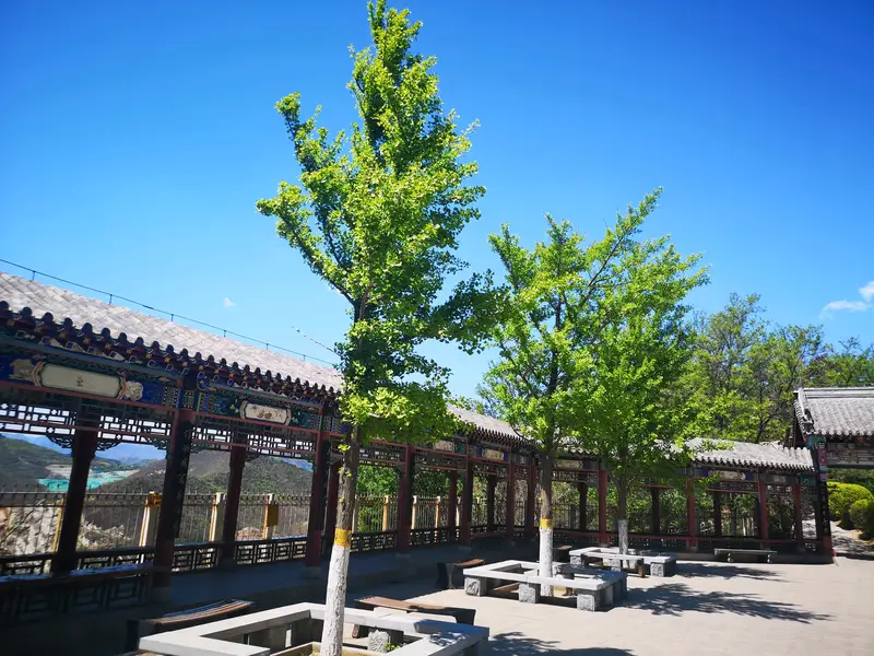 Nangong Tourism Scenic Area