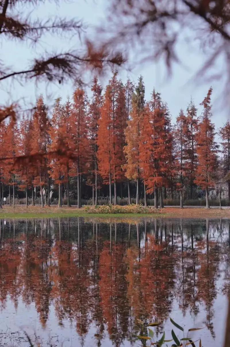 Xiangcheng Wetland Ecological Park