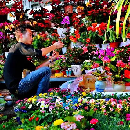 2020 Shenzhen Spring Flower Market Central Venue