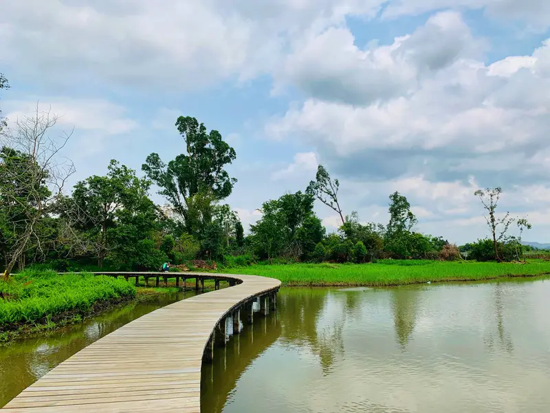 Hong Kong Wetland Park - Special Area