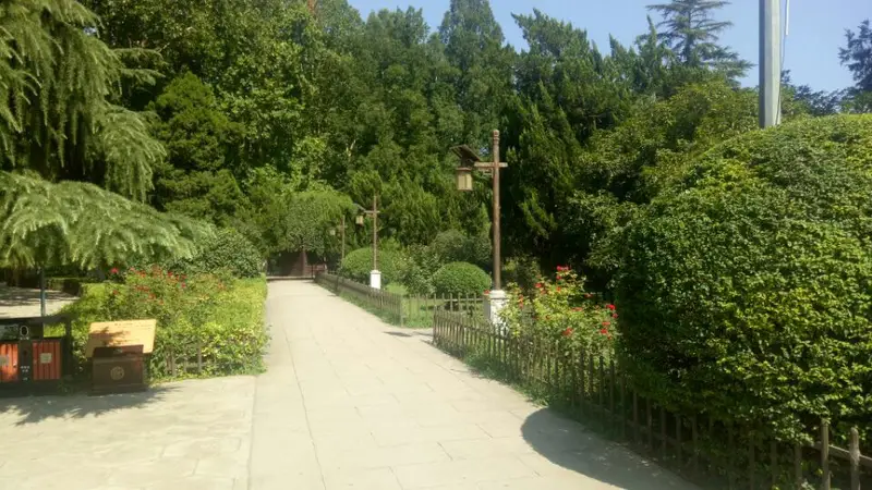 Xingqing Palace Happy Camp