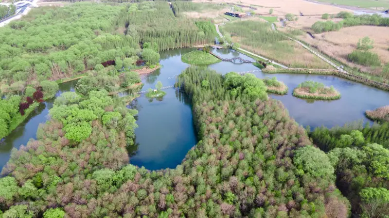 Xisha Wetland