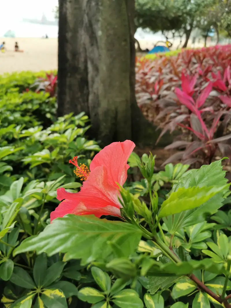 Butterfly Bay Park