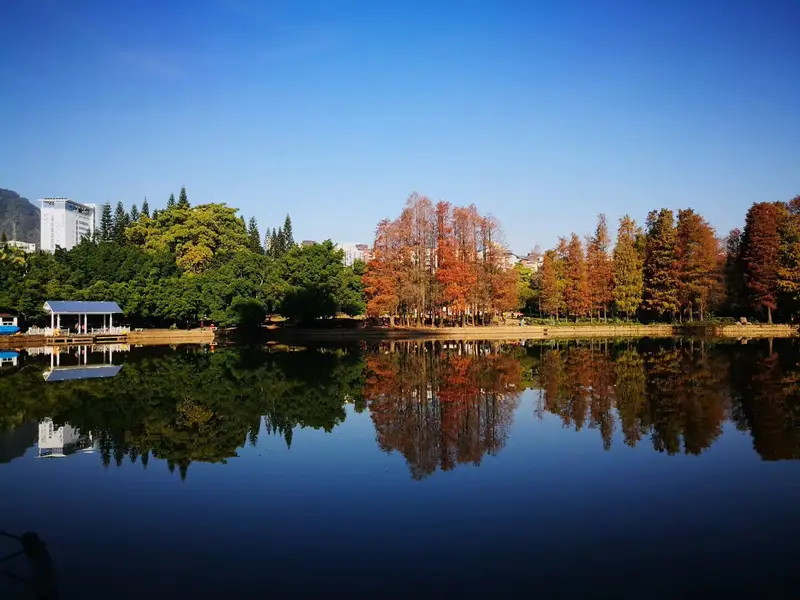 Shihai Park