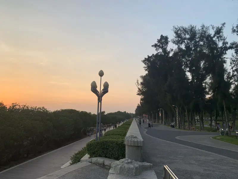 Bao'An Xiwan Mangrove Park - Sunshine Grass Slope