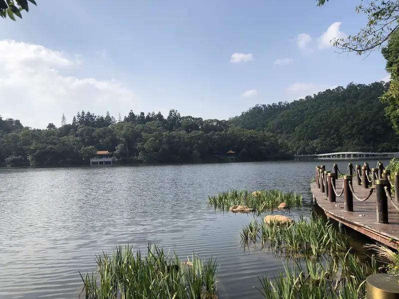 Shenzhen Xianhu Botanical Garden Expert Forest
