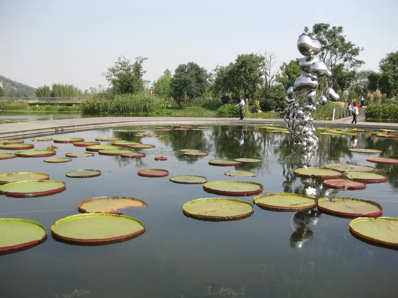 Wetland Botanical Garden