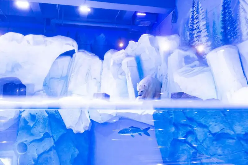 Ice Mountain Arctic Pavilion