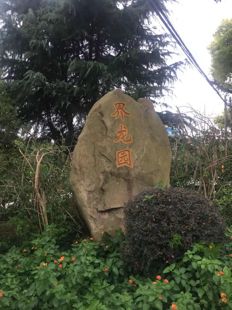 Dragon Boundary Garden